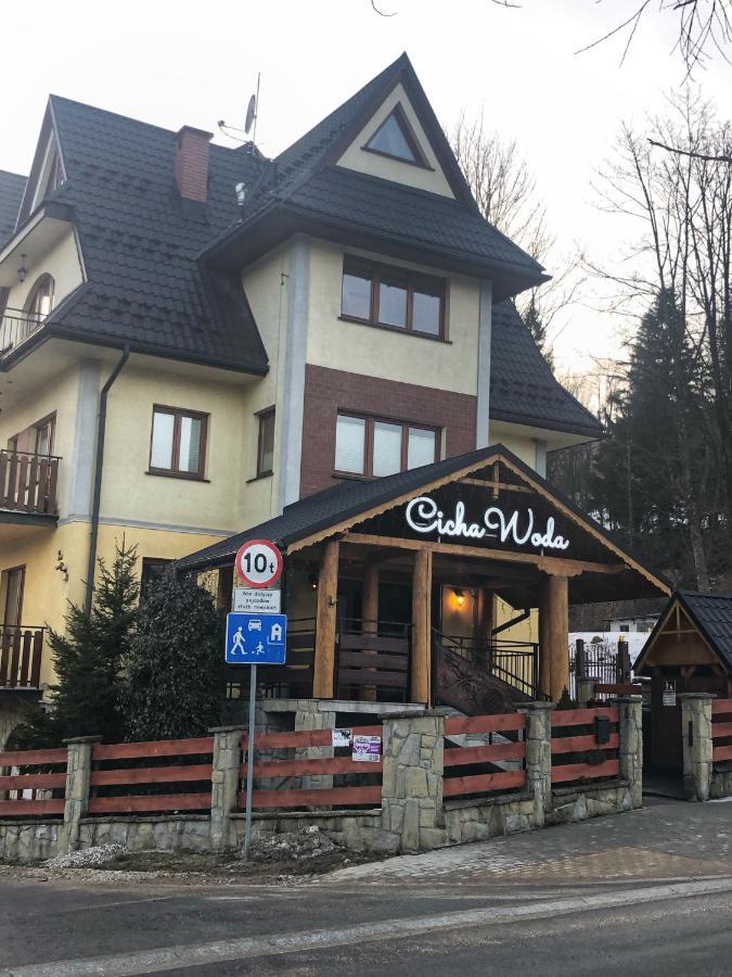 Apartament Srebrzysty Tatary Zakopane Kültér fotó