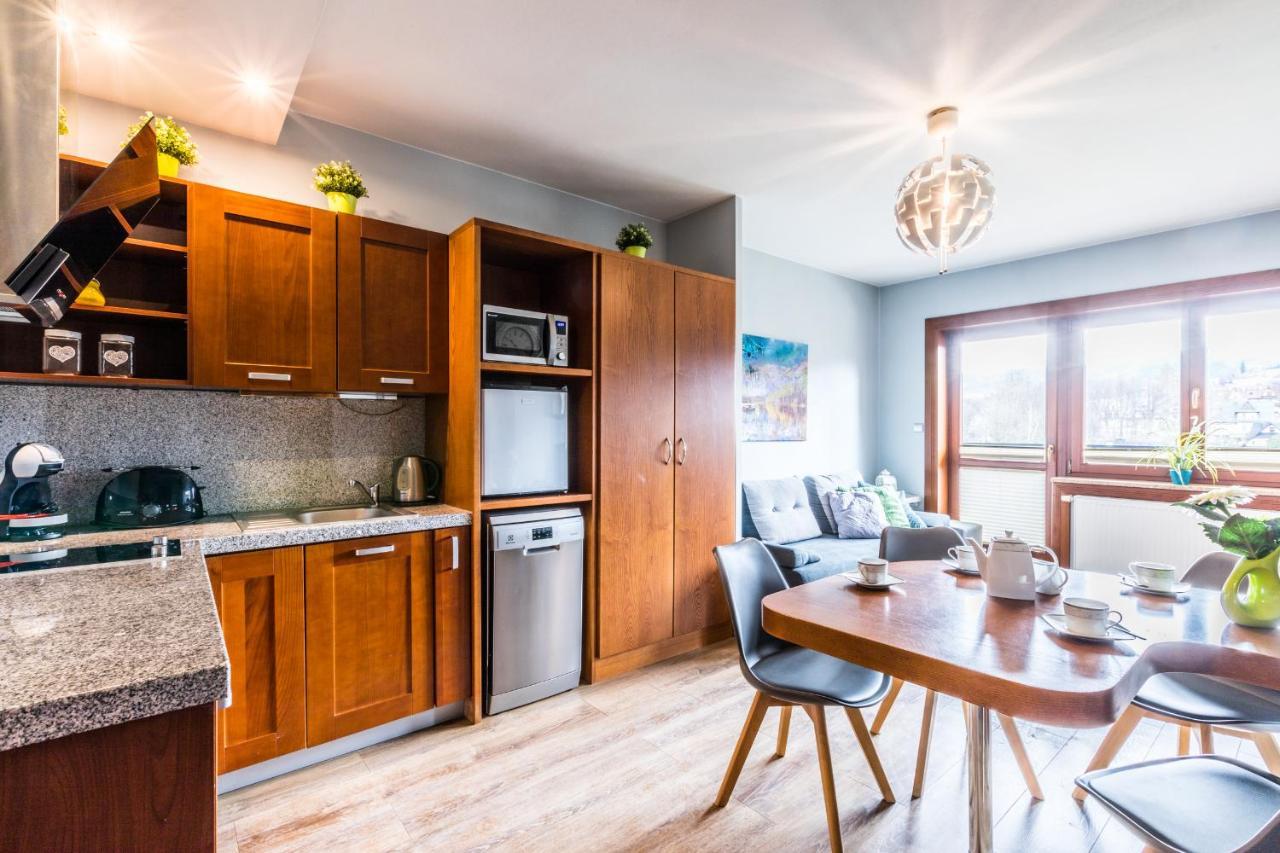 Apartament Srebrzysty Tatary Zakopane Kültér fotó