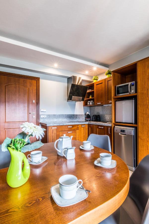 Apartament Srebrzysty Tatary Zakopane Kültér fotó