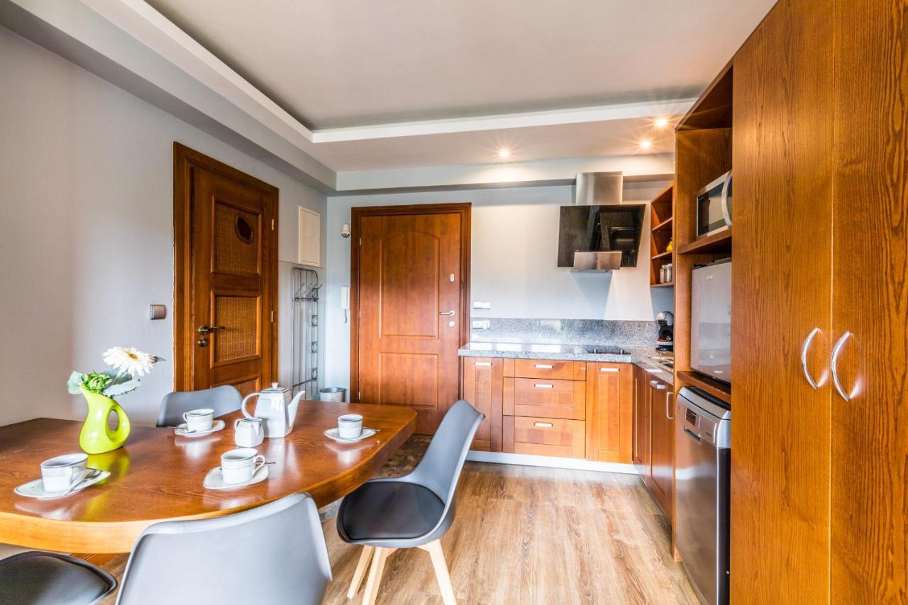 Apartament Srebrzysty Tatary Zakopane Kültér fotó